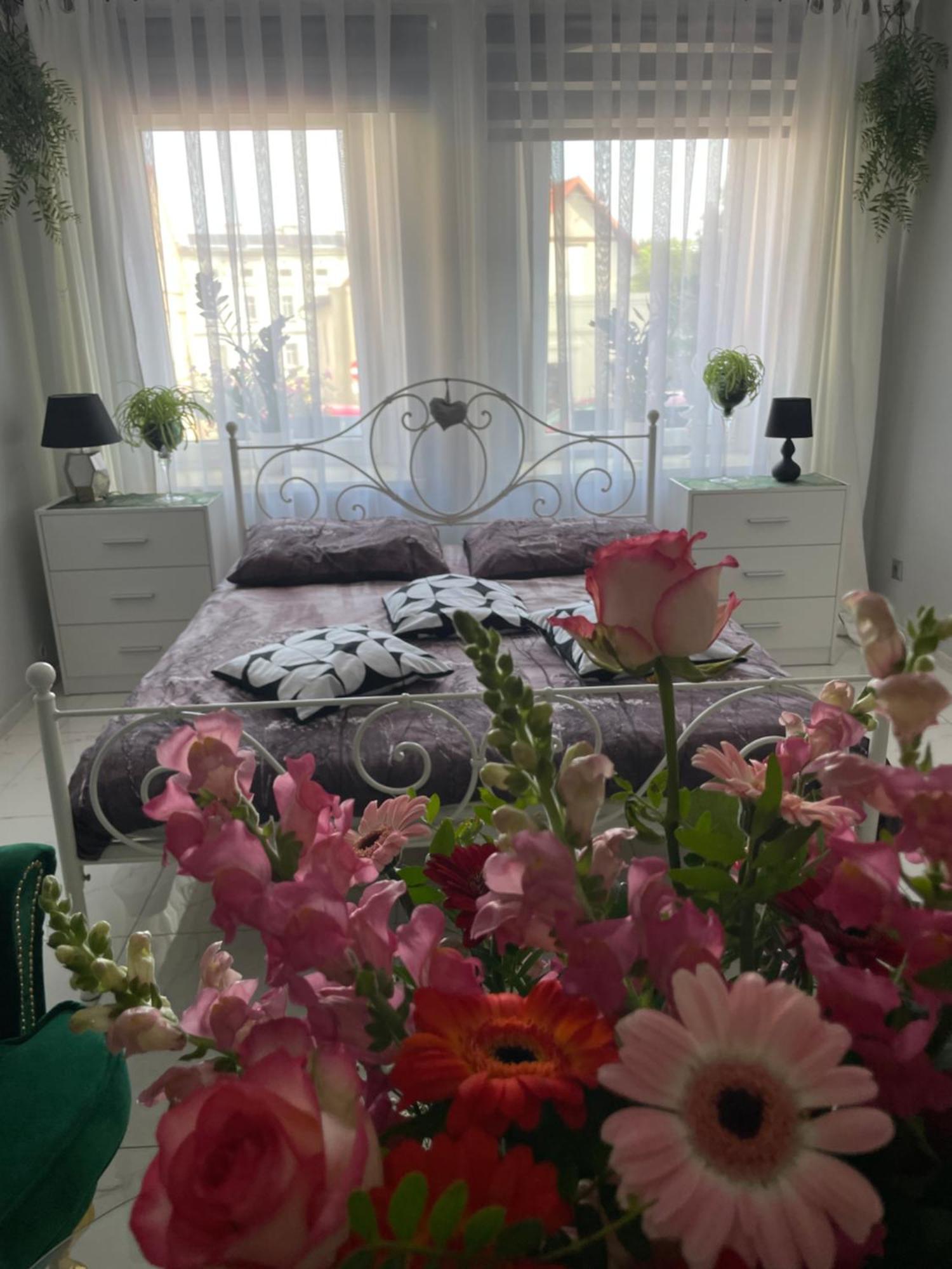 Apartament U Danusi Złoty Stok Dış mekan fotoğraf