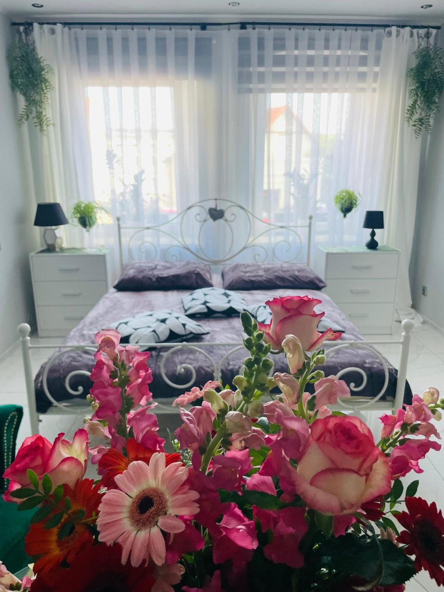 Apartament U Danusi Złoty Stok Dış mekan fotoğraf